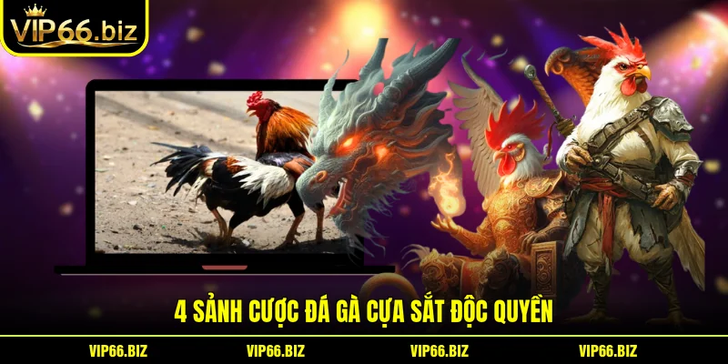 4 sảnh cược đá gà cựa sắt độc quyền 4 sảnh cược đá gà cựa sắt độc quyền