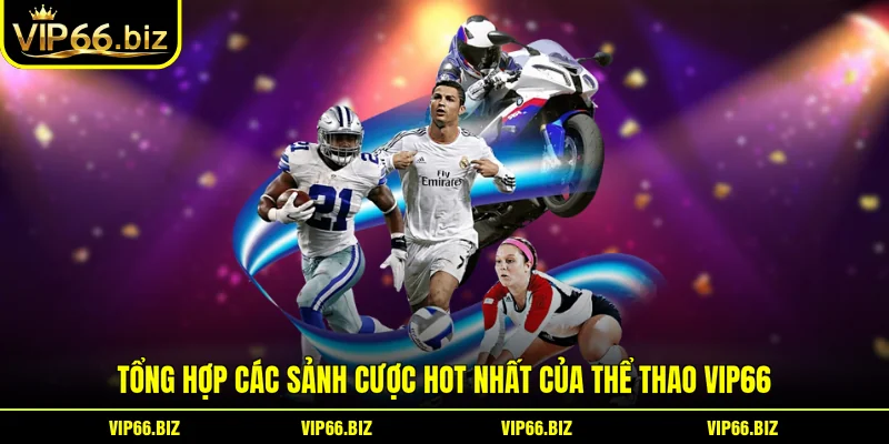Tổng hợp các sảnh cược hot nhất của thể thao VIP66 Tổng hợp các sảnh cược hot nhất của thể thao VIP66